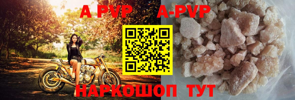Альфа ПВП СК КРИС Курчалой