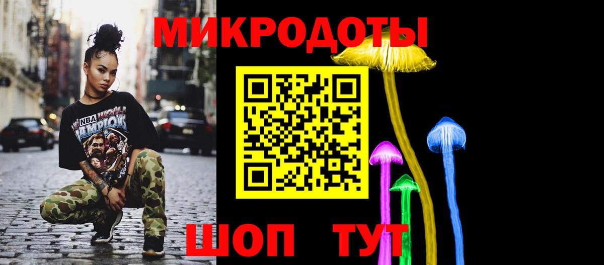 Псилоцибиновые грибы Psilocybe Курчалой