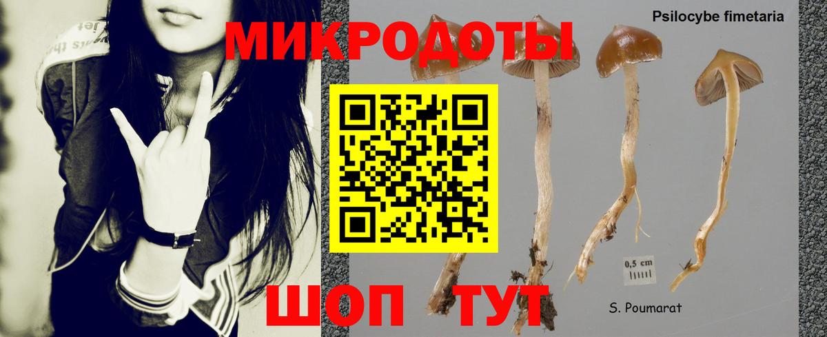 Псилоцибиновые грибы MAGIC MUSHROOMS  Вход с VPN  Курчалой 